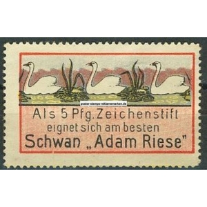 Schwan Bleistifte (008a)