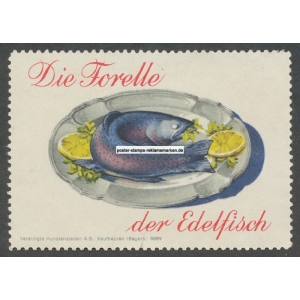 Die Forelle der Edelfisch (001a)