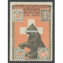 Bern 1910 Postwertzeichen Ausstellung (mit Datum - 001a)